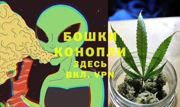 PSILOCYBIN Армянск