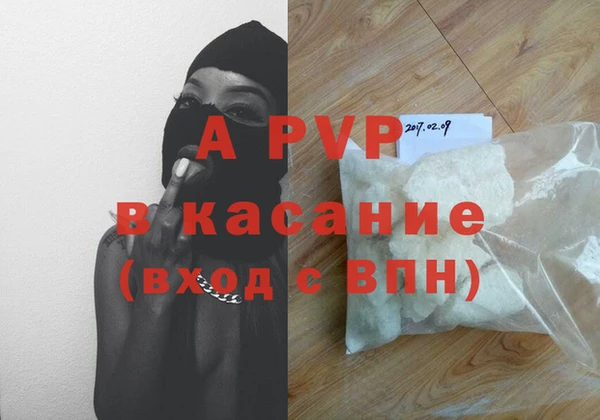 стаф Баксан