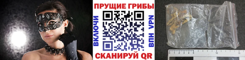 Галлюциногенные грибы Psilocybe  Николаевск-на-Амуре 