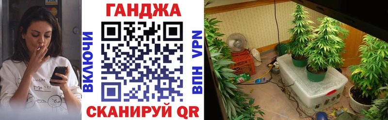 Бошки марихуана Bruce Banner  Николаевск-на-Амуре 